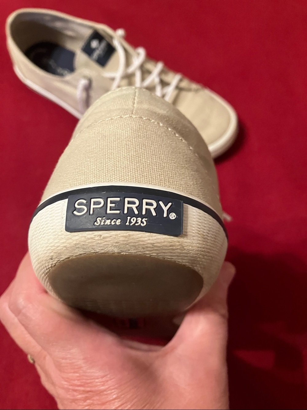 Sperry Canvas Boat Sneakers - Picture 7 of 12